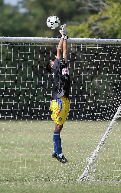 放的魅力和 放的魅力和