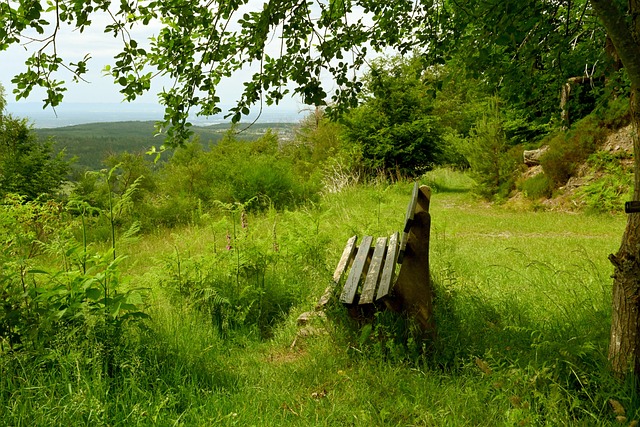争力与阵容 争力与阵容