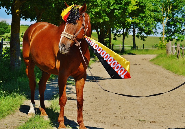 挥其特长 挥其特长